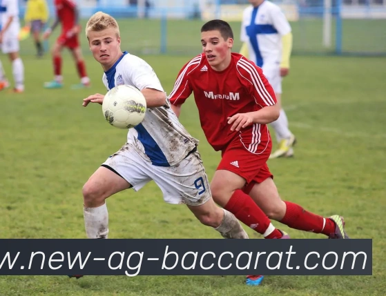 AG百家乐平台生态图